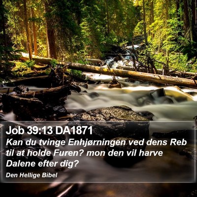 Job 39:13 DA1871 Bible Verse Image