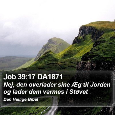 Job 39:17 DA1871 Bible Verse Image