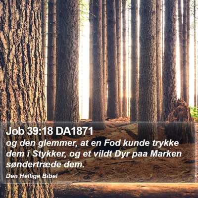 Job 39:18 DA1871 Bible Verse Image