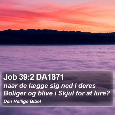 Job 39:2 DA1871 Bible Verse Image
