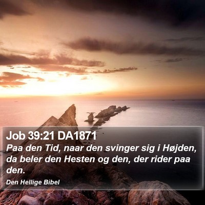 Job 39:21 DA1871 Bible Verse Image