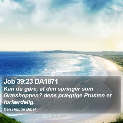 Job 39:23 DA1871 Bible Verse Image