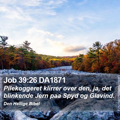 Job 39:26 DA1871 Bible Verse Image
