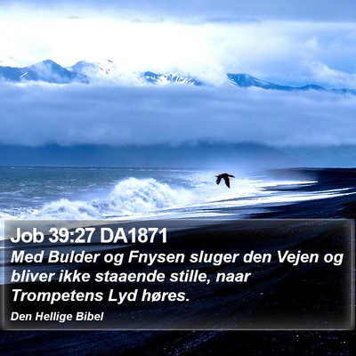 Job 39:27 DA1871 Bible Verse Image