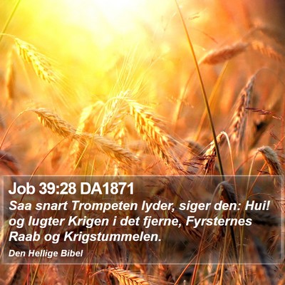 Job 39:28 DA1871 Bible Verse Image