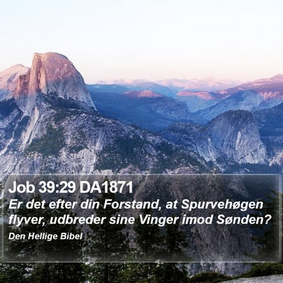Job 39:29 DA1871 Bible Verse Image