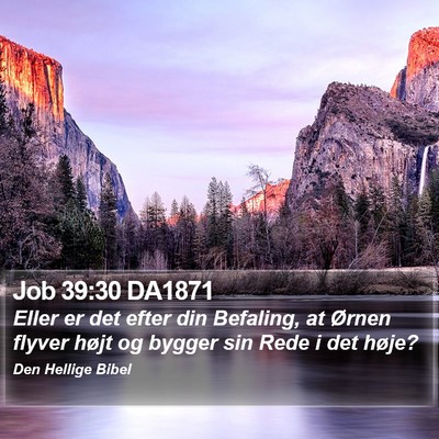 Job 39:30 DA1871 Bible Verse Image