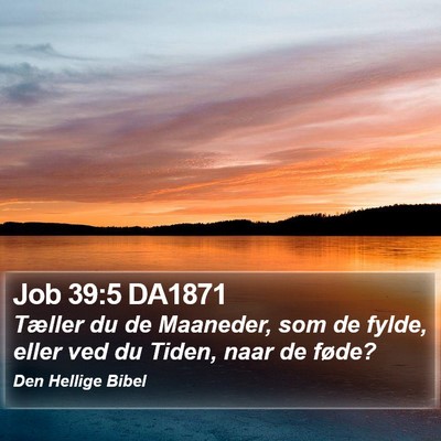 Job 39:5 DA1871 Bible Verse Image