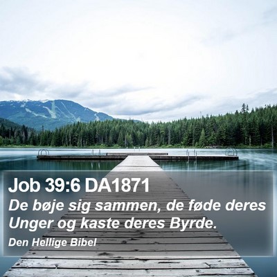 Job 39:6 DA1871 Bible Verse Image