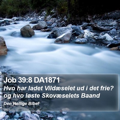 Job 39:8 DA1871 Bible Verse Image