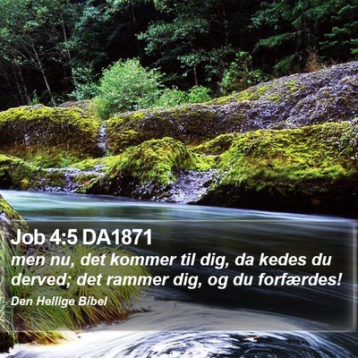 Job 4:5 DA1871 Bible Verse Image