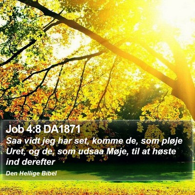 Job 4:8 DA1871 Bible Verse Image