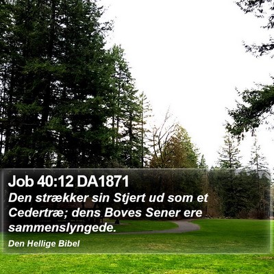 Job 40:12 DA1871 Bible Verse Image