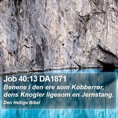 Job 40:13 DA1871 Bible Verse Image