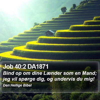 Job 40:2 DA1871 Bible Verse Image