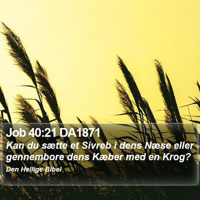 Job 40:21 DA1871 Bible Verse Image