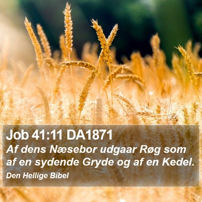 Job 41:11 DA1871 Bible Verse Image