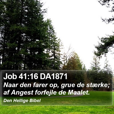 Job 41:16 DA1871 Bible Verse Image