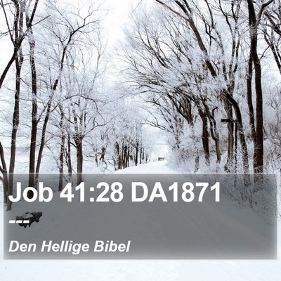 Job 41:28 DA1871 Bible Verse Image