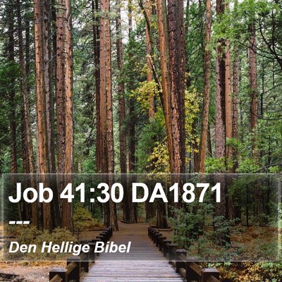 Job 41:30 DA1871 Bible Verse Image