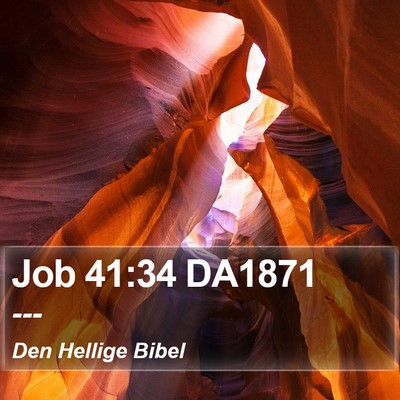 Job 41:34 DA1871 Bible Verse Image