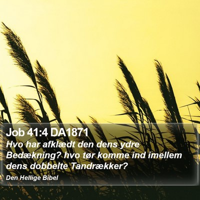 Job 41:4 DA1871 Bible Verse Image