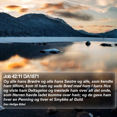 Job 42:11 DA1871 Bible Verse Image