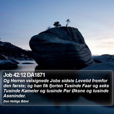Job 42:12 DA1871 Bible Verse Image