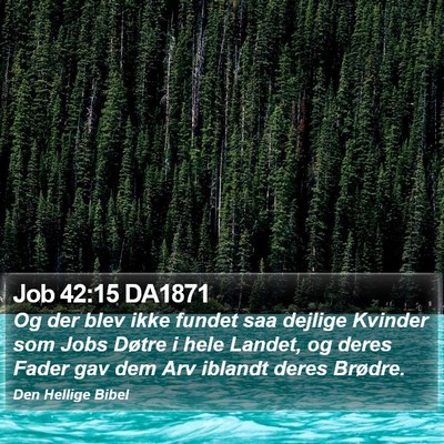 Job 42:15 DA1871 Bible Verse Image
