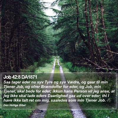 Job 42:8 DA1871 Bible Verse Image
