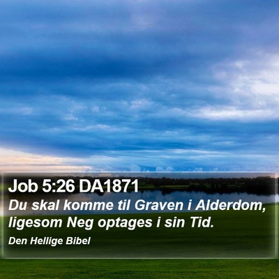 Job 5:26 DA1871 Bible Verse Image