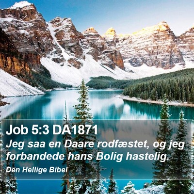 Job 5:3 DA1871 Bible Verse Image