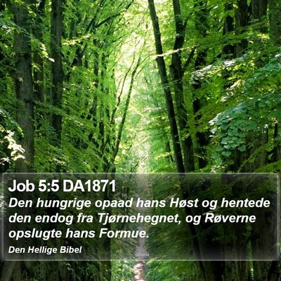 Job 5:5 DA1871 Bible Verse Image