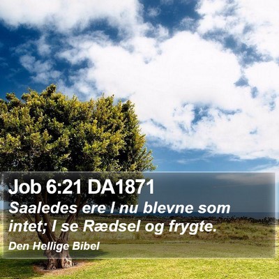 Job 6:21 DA1871 Bible Verse Image