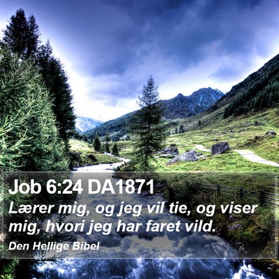 Job 6:24 DA1871 Bible Verse Image