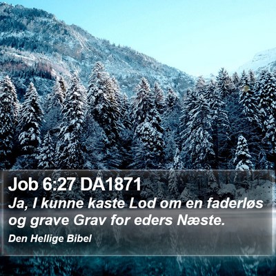 Job 6:27 DA1871 Bible Verse Image