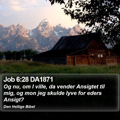 Job 6:28 DA1871 Bible Verse Image