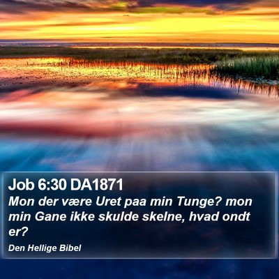 Job 6:30 DA1871 Bible Verse Image
