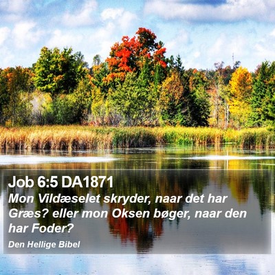 Job 6:5 DA1871 Bible Verse Image