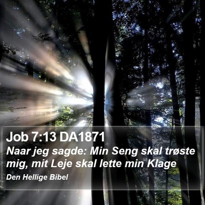Job 7:13 DA1871 Bible Verse Image