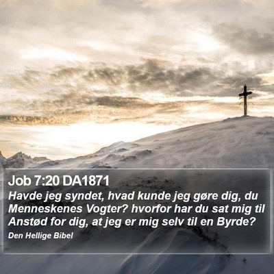 Job 7:20 DA1871 Bible Verse Image