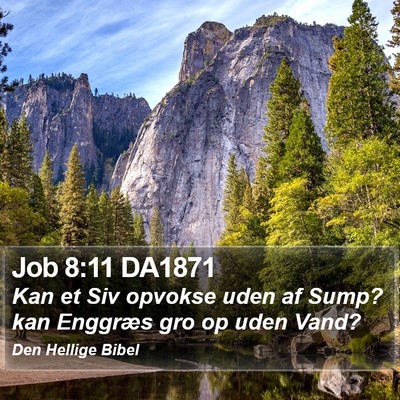 Job 8:11 DA1871 Bible Verse Image