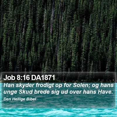 Job 8:16 DA1871 Bible Verse Image