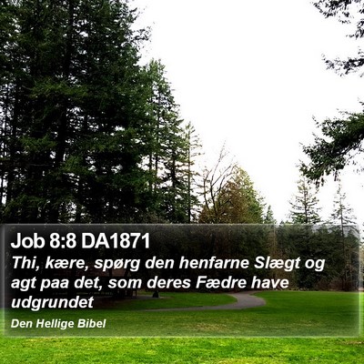 Job 8:8 DA1871 Bible Verse Image