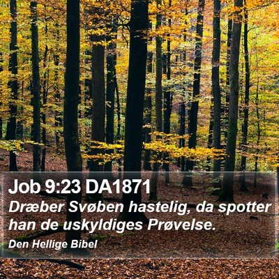 Job 9:23 DA1871 Bible Verse Image