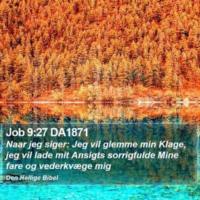 Job 9:27 DA1871 Bible Verse Image