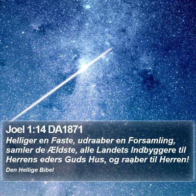 Joel 1:14 DA1871 Bible Verse Image