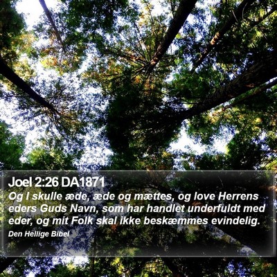 Joel 2:26 DA1871 Bible Verse Image