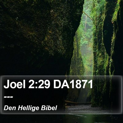 Joel 2:29 DA1871 Bible Verse Image