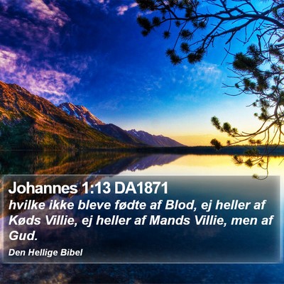 Johannes 1:13 DA1871 Bible Verse Image